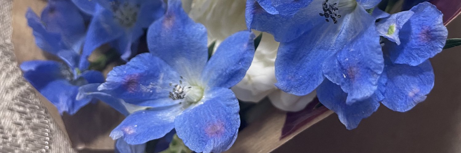 sb_arch's profile banner image