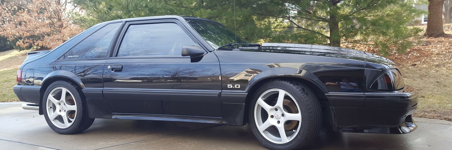 MGCarollo's profile banner image