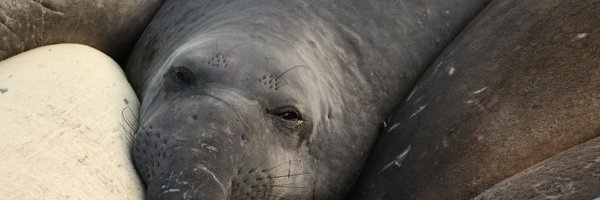 EOWBF Profile Banner