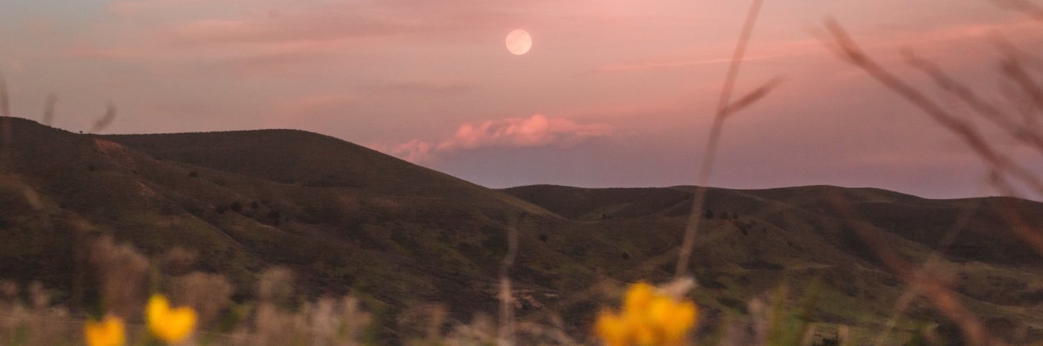 chloe_463's profile banner image
