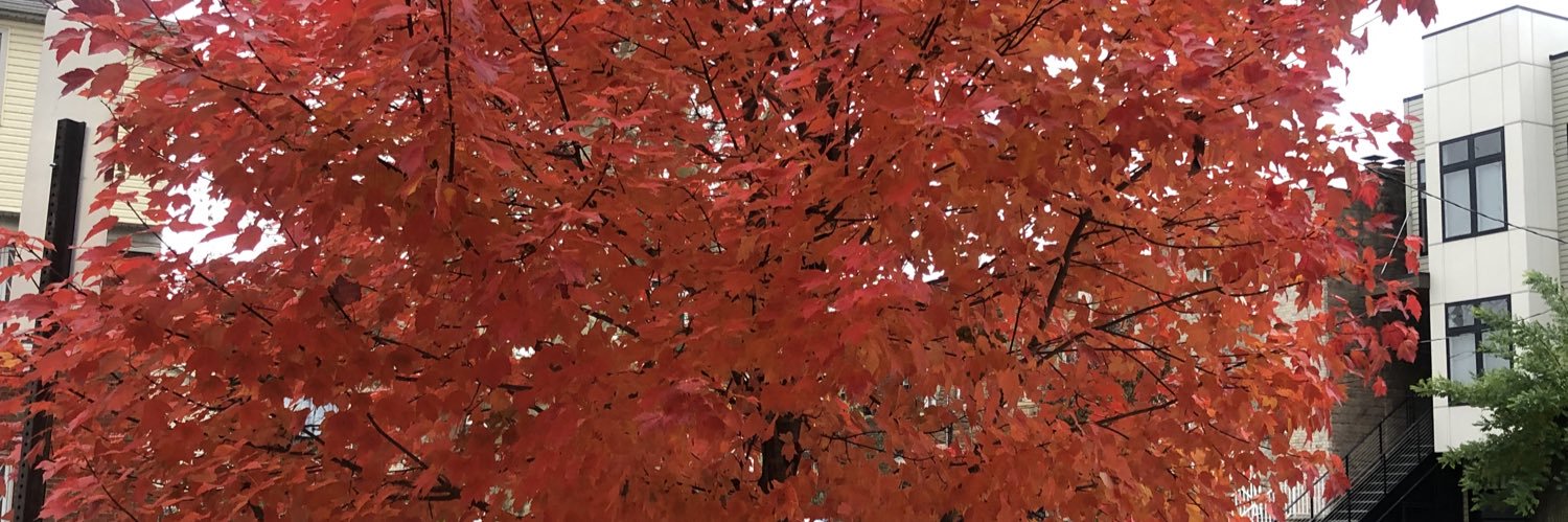 PRECIAUS's profile banner image