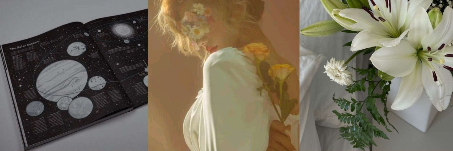 s o l i s ✧ banner