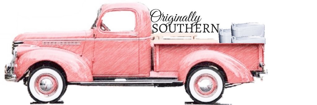 originallysouth's profile banner image