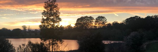 NancyBlum Profile Banner