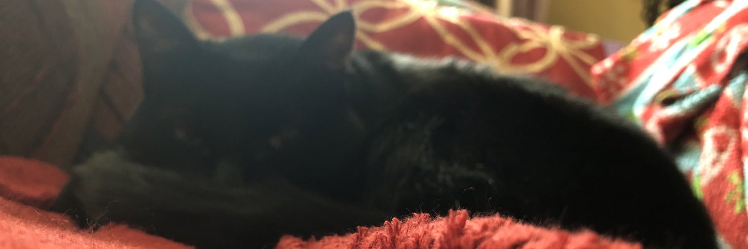 shadowandluna's profile banner image