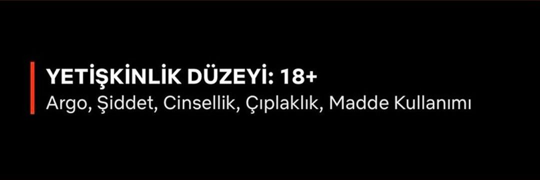 Seda Sertan banner