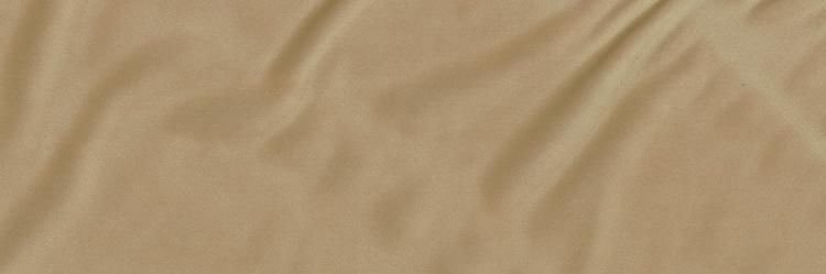pyellowlemon's profile banner image