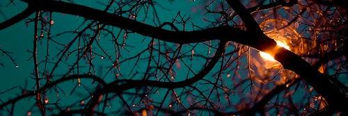 Mehammes's profile banner image