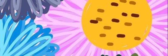 lekabyn's profile banner image