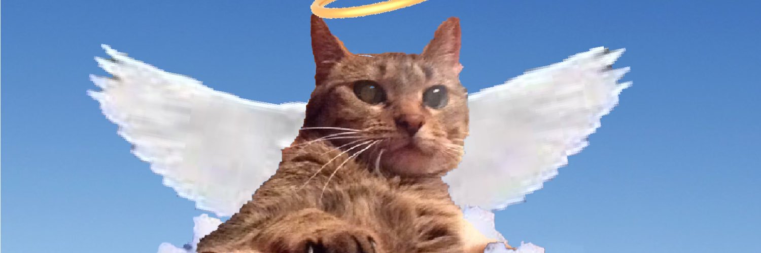 LindenSpence's profile banner image