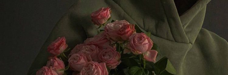 Afaf1997AA's profile banner image