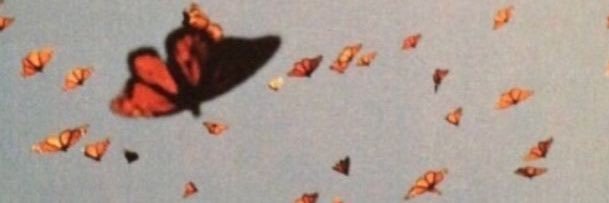 hello_firewood's profile banner image