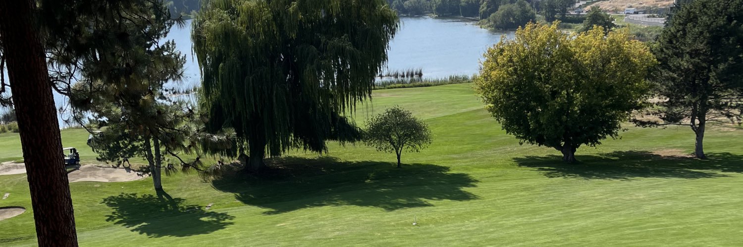 Liam Choo-Foo banner