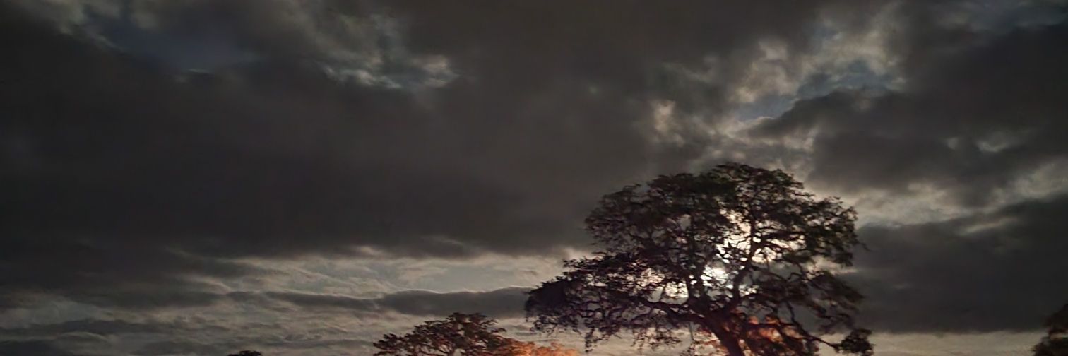 BootyGodKish's profile banner image