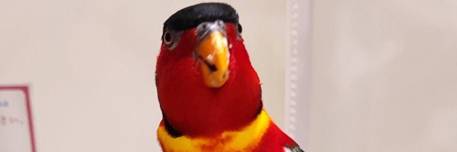hatchcatch's profile banner image