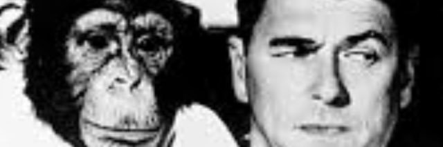 DrewTooMuch's profile banner image