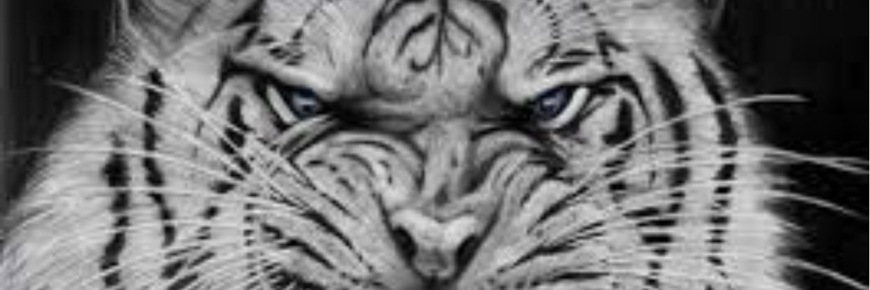 MalachiGeathers's profile banner image