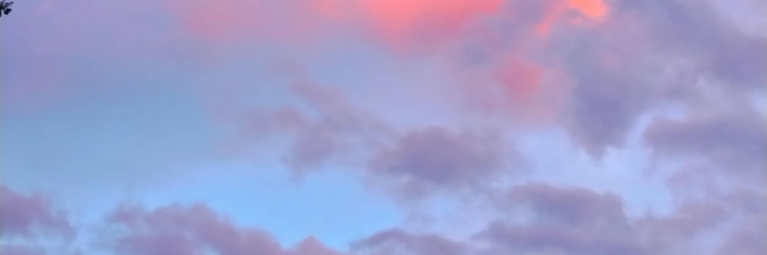 Sunflower gvrl 🌻 banner
