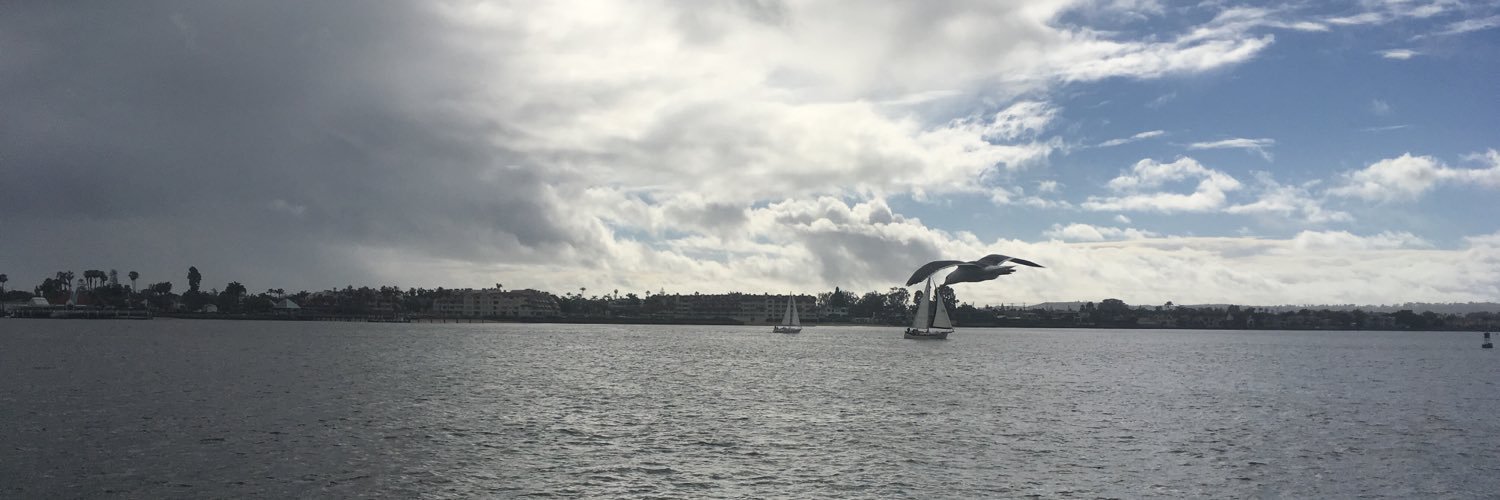 Mohamed AlAmeri🇦🇪 banner