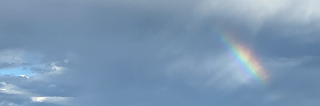 Sebastianailard's profile banner image