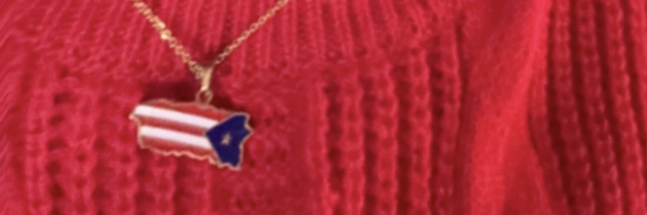 Missdridri banner