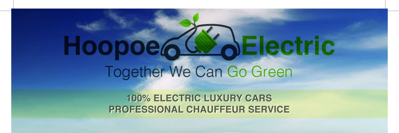HoopoeElectric's profile banner image
