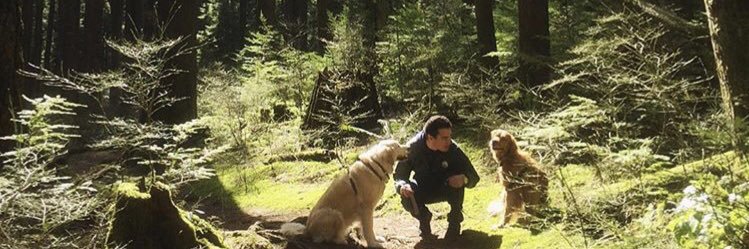 Mitchr_84's profile banner image