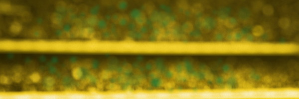 nick_f17 Profile Banner