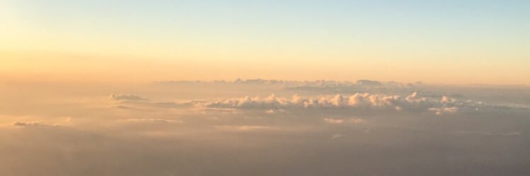 kaylee banner