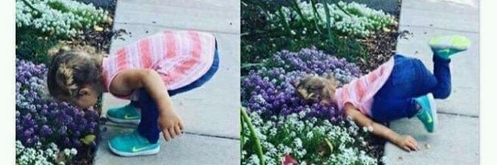 nikkinykx's profile banner image