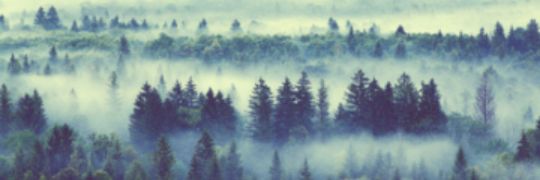 EndearingArcher's profile banner image