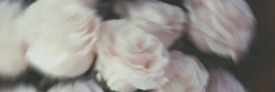_________tx's profile banner image