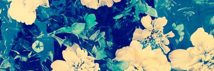 EliseToplass's profile banner image