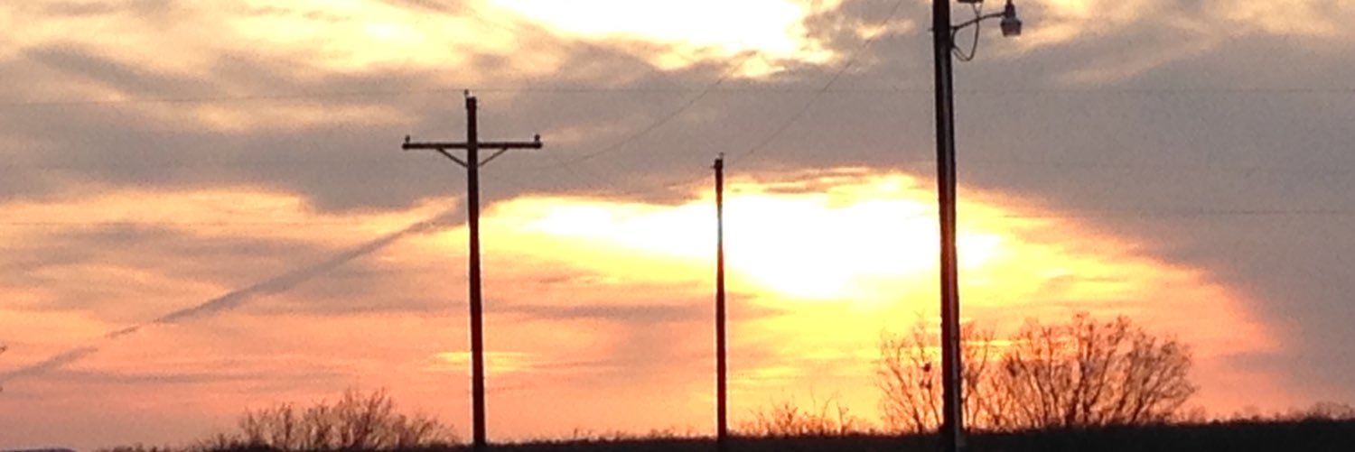elainegray21's profile banner image