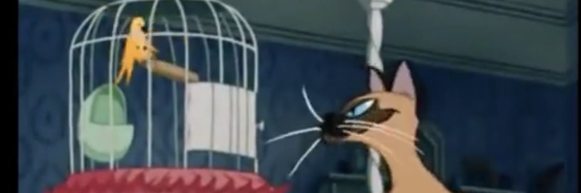 TonySchnow's profile banner image