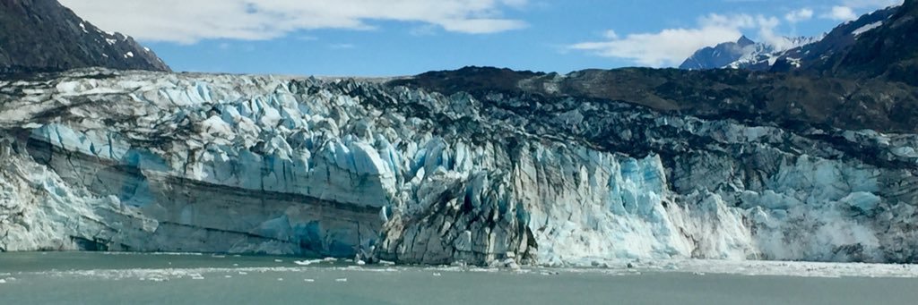 Diana Zuniga Johnson banner