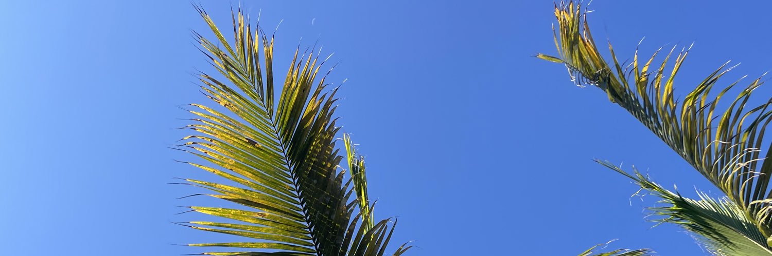 jmcscst's profile banner image