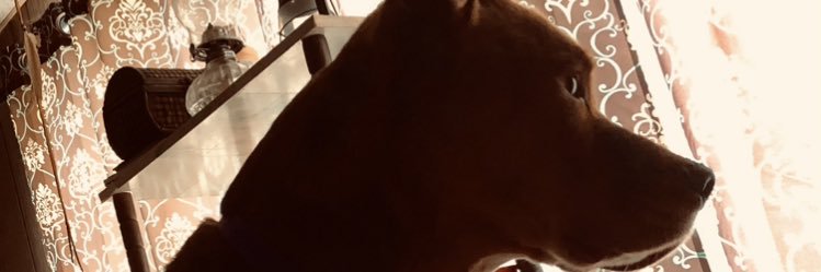 5amSaint1's profile banner image