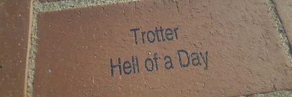 CoachTrot Profile Banner