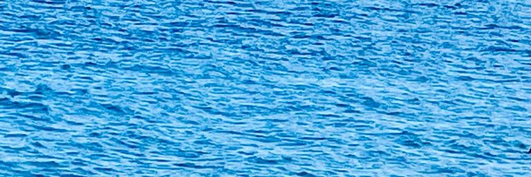LongdonSonja's profile banner image