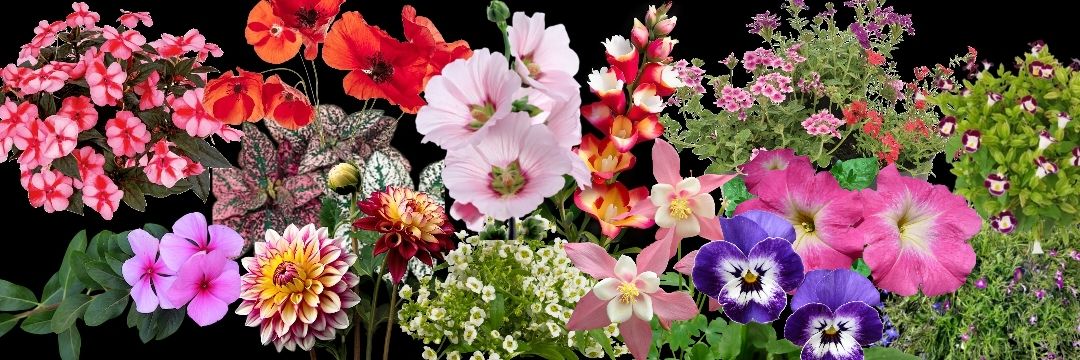 Build more soil ☦ banner