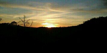 Andrés Hernández banner