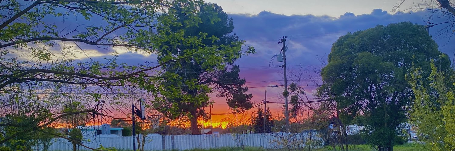 Wanda_Elliott2's profile banner image