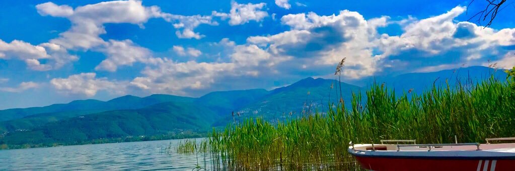 sevgidayi's profile banner image