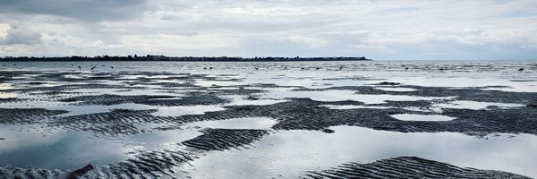 TheRealMegJon Profile Banner