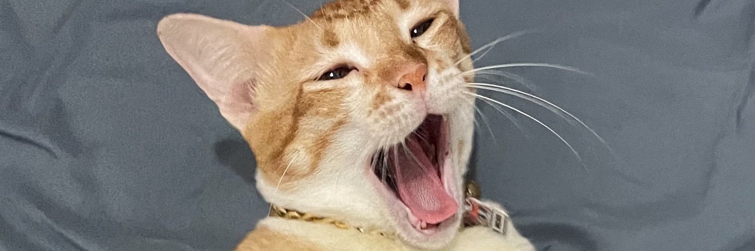 arfinaaptr's profile banner image