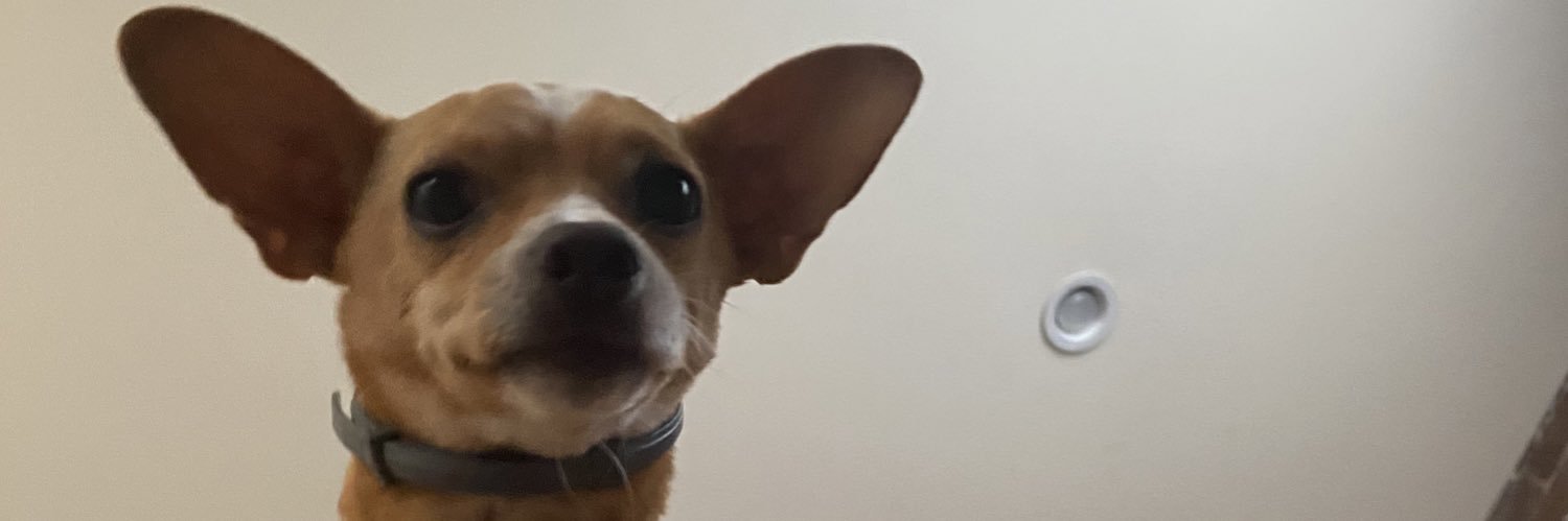 GetInMySullyVAN's profile banner image