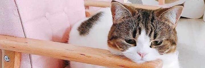 arkemcit's profile banner image