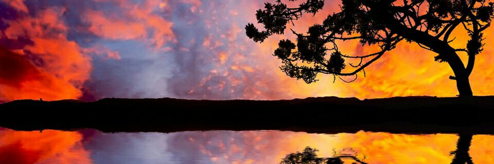 maitemorillo92's profile banner image