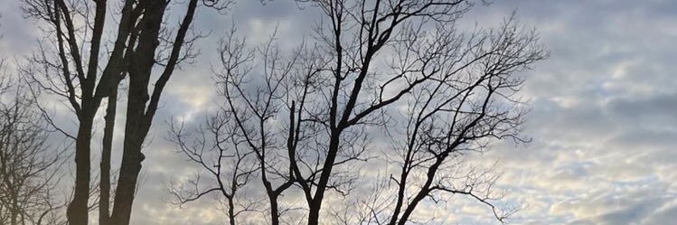 nhbaf04's profile banner image